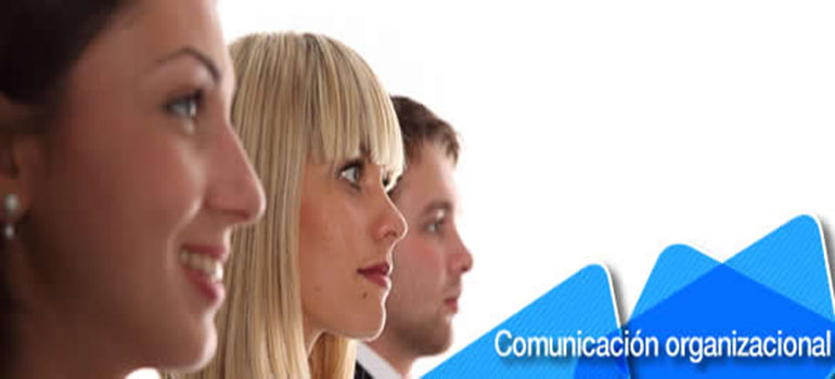 /blog/post/lider-y-organizacion